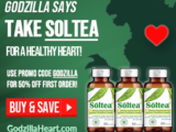 Final_Soltea 300x250
