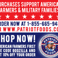 Patriot Foods 300x250